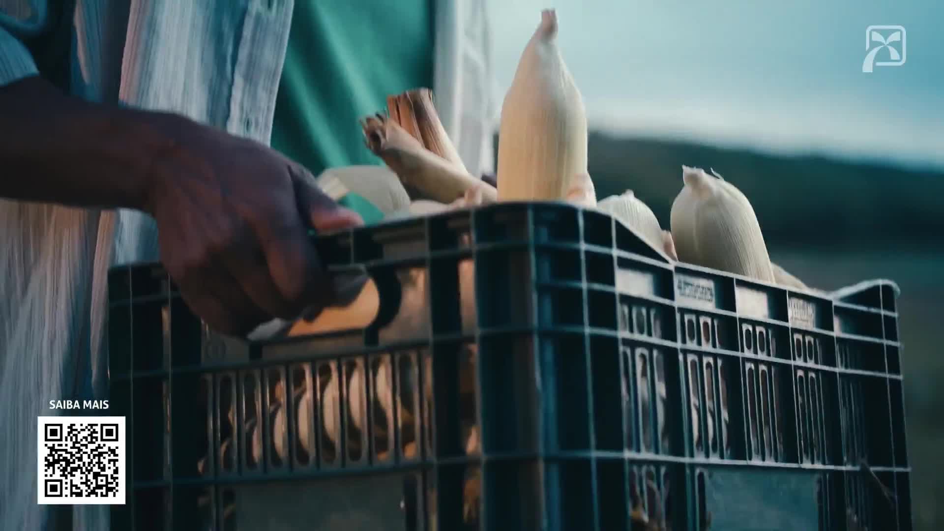 BANCO DO NORDESTE É MAIS SUCESSO